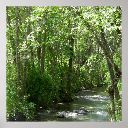 夏のビッグクリーク…... ポスター (正面)