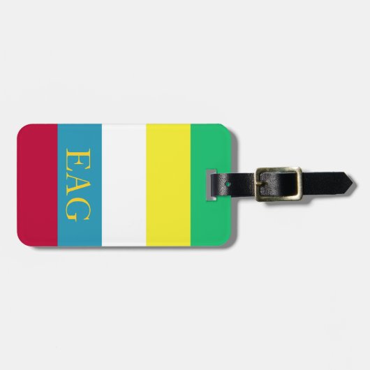 夏のピクニックパレットのストライプのモノグラム ラゲッジタグ (正面横)