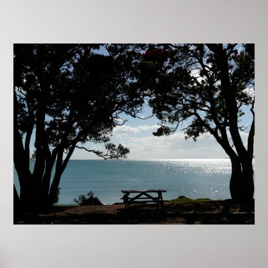 夏のピクニック場 ポスター (正面)