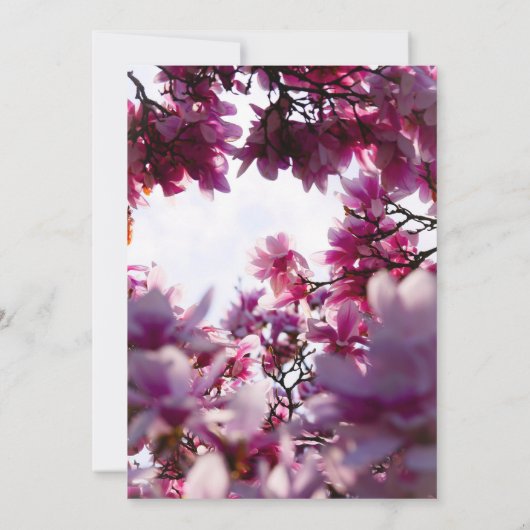 夏のピンクのバラのフローラ写真結婚式招待状 招待状 (裏面)