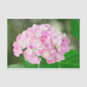 夏のピンクの紫陽花 薄葉紙 (正面)