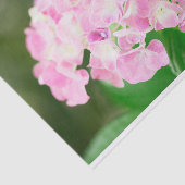 夏のピンクの紫陽花 薄葉紙 (詳細)