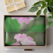 夏のピンクの紫陽花 薄葉紙 (ギフト)
