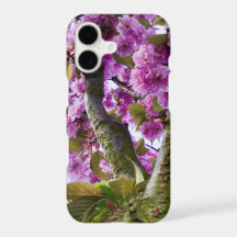 夏のピンク咲き木の王冠の写真 – 