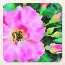 夏のピンク色の紫のバラ