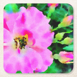 夏のピンク色の紫のバラ スクエアペーパーコースター