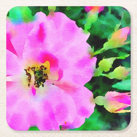 夏のピンク色の紫のバラ スクエアペーパーコースター (正面)