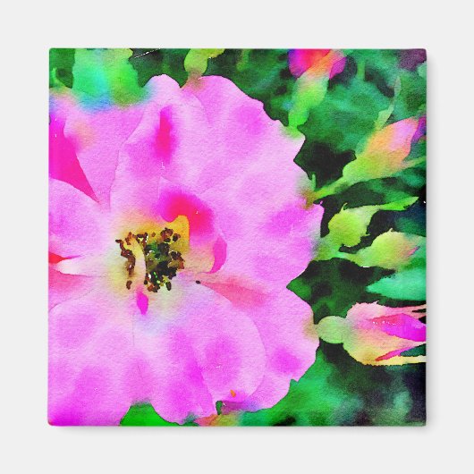 夏のピンク色の紫のバラ マグネット (正面)