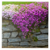 夏のフロックスタイル タイル (正面)