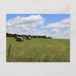 夏のベール2 ポストカード