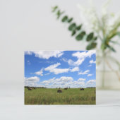 夏のベール3 ポストカード (スタンド正面)