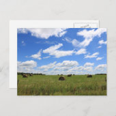 夏のベール3 ポストカード (正面/裏面)