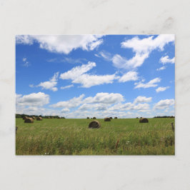 夏のベール3 ポストカード