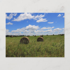 夏のベール ポストカード