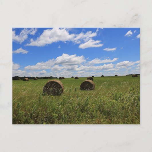 夏のベール ポストカード (正面)