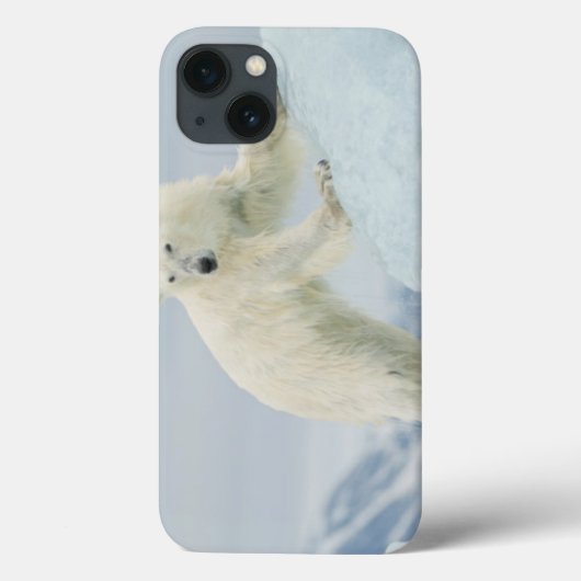 夏のホッキョクグマ Case-Mate iPhoneケース (裏面)