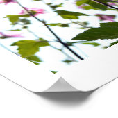 夏のポスターの木のマロ開花 ポスター (角)