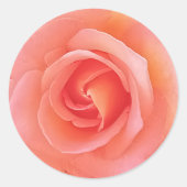 夏のポップ・アートのサンゴバラ花写真 ラウンドシール (正面)
