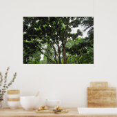 夏のマグノリア ポスター (キッチン)