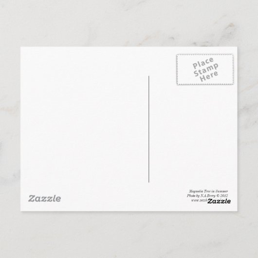 夏のマグノリア ポストカード (裏面)