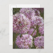 夏のミツバチ2014 ポストカード (正面/裏面)