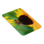 夏のミツバチ – デイジー磁石 マグネット (右側)