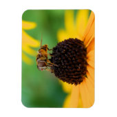 夏のミツバチ – デイジー磁石 マグネット (縦)