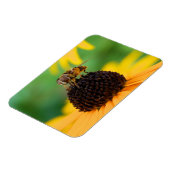 夏のミツバチ – デイジー磁石 マグネット (左側)