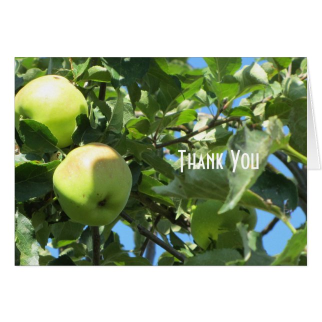 夏のリンゴ (正面横)