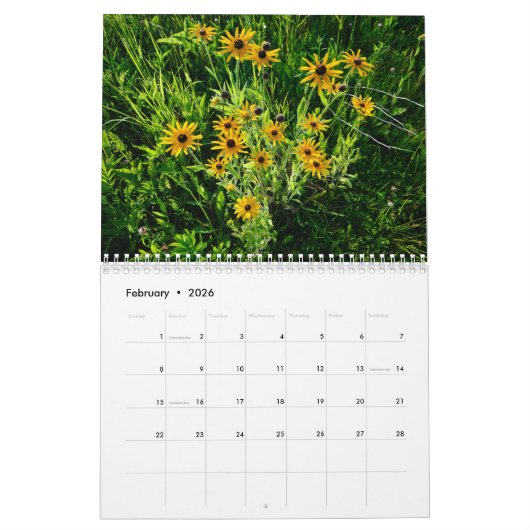 夏のワイルドフラワーカレンダーの間を歩く カレンダー (2月 2026)