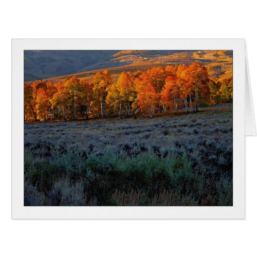 「夏の上の草原」 (正面横)