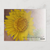 夏の丘 ポストカード (裏面)