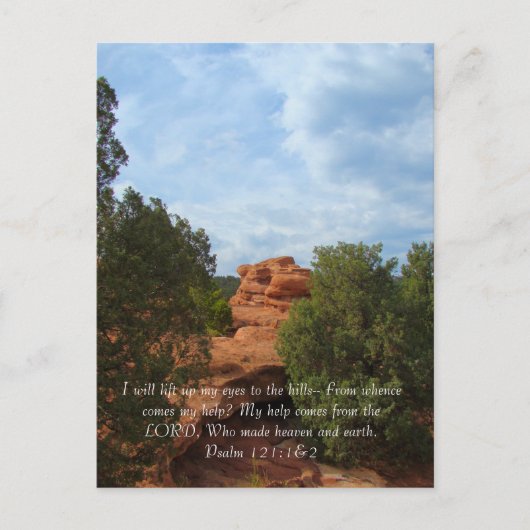 夏の丘 ポストカード (正面)