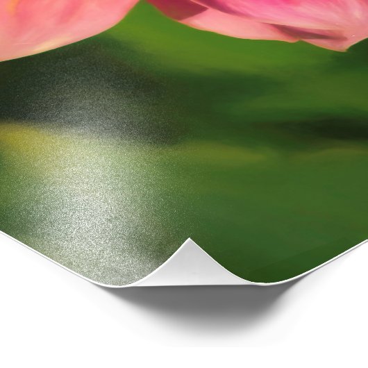 夏の光景 フォトプリント            (角)