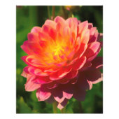 夏の光景 フォトプリント            (正面)