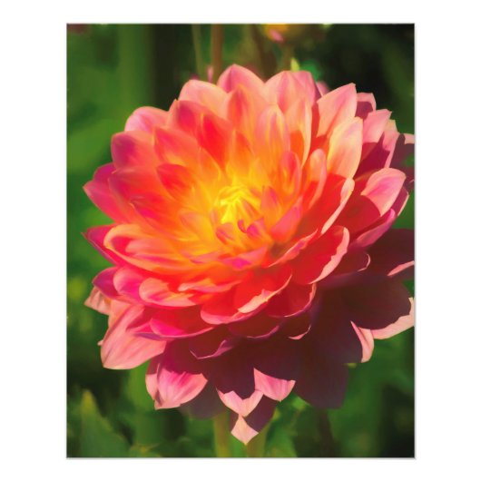 夏の光景 フォトプリント            (正面)