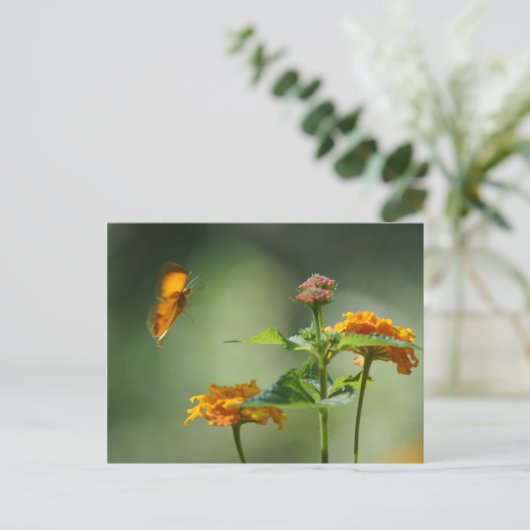 夏の光 ポストカード (スタンド正面)