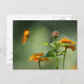 夏の光 ポストカード (正面/裏面)