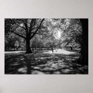 夏の午後にBute Park。ウェールズ・カーディフ ポスター