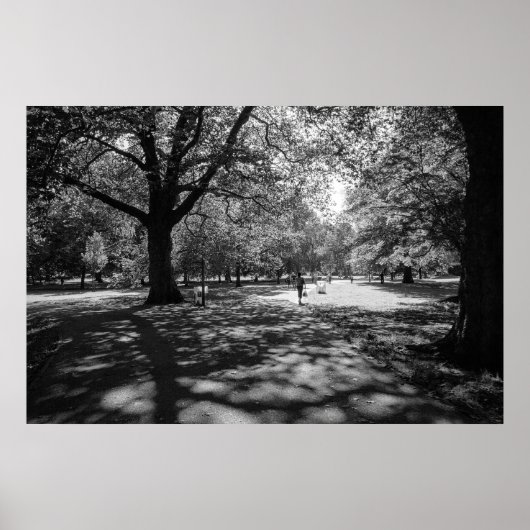 夏の午後にBute Park。ウェールズ・カーディフ ポスター (正面)