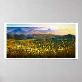 夏の午後 ポスター (正面)