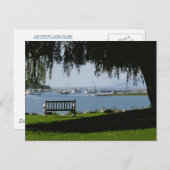 夏の午後@港 ポストカード (正面/裏面)