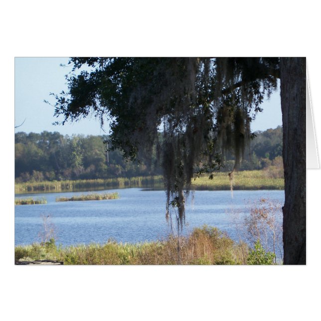 夏の南の湖の反射 (正面横)