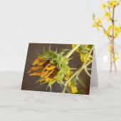 夏の周期のブランクの挨拶状 カード (黄色い花)