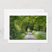 夏の国道葉書 ポストカード (正面/裏面)