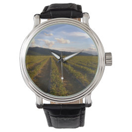 夏の壁掛け 腕時計