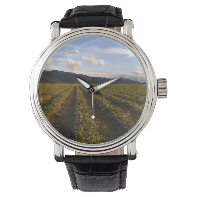 夏の壁掛け 腕時計 (正面)