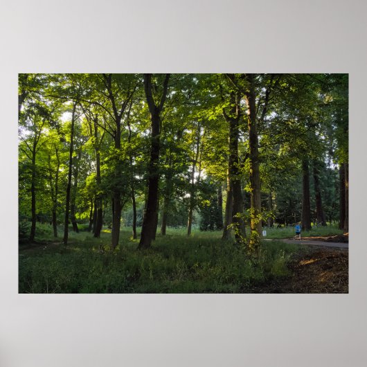 夏の夕べ、ビュートパークカーディフ ポスター (正面)