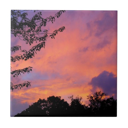夏の夕日 タイル (正面)