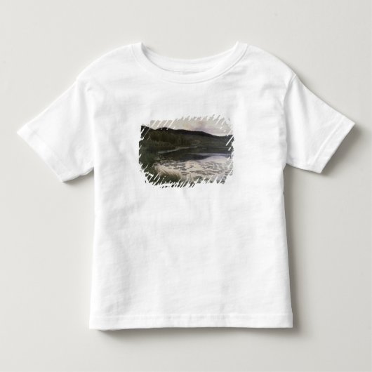 夏の夜1886年 トドラーTシャツ (正面)